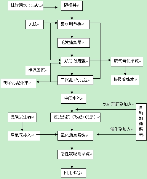 二级处理污水生化处理工艺图